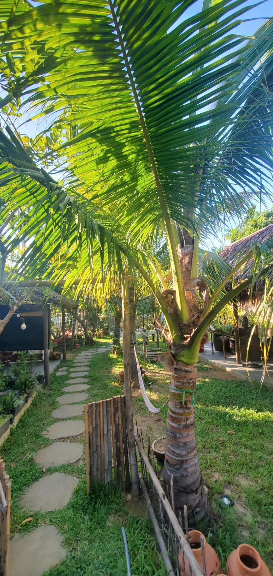 Home Farm Villa Hoi An Zewnętrze zdjęcie