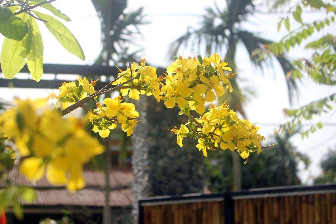 Home Farm Villa Hoi An Zewnętrze zdjęcie