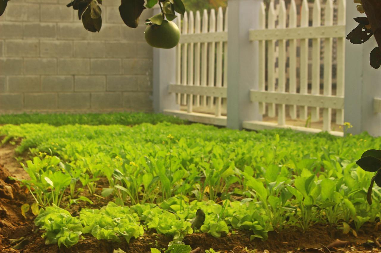 Home Farm Villa Hoi An Zewnętrze zdjęcie